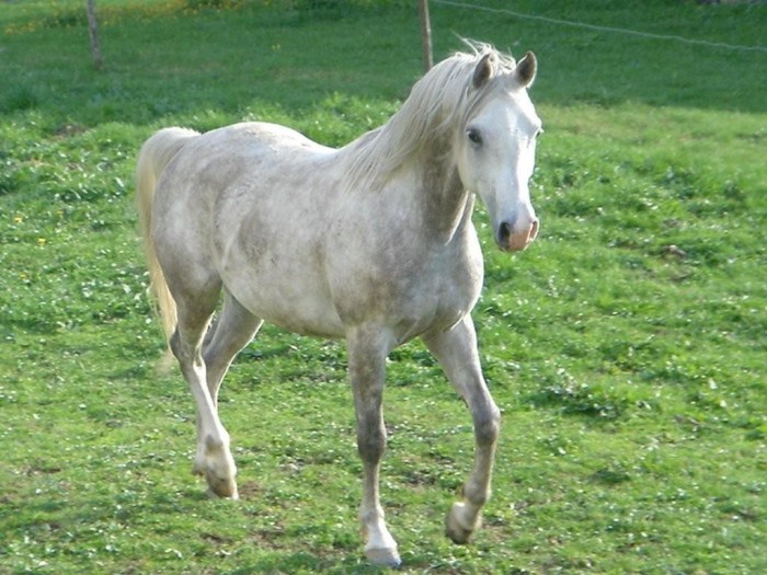 Photo de profil de craouite