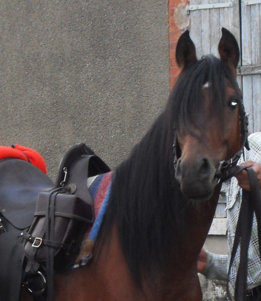 Photo de profil de margotetguigui