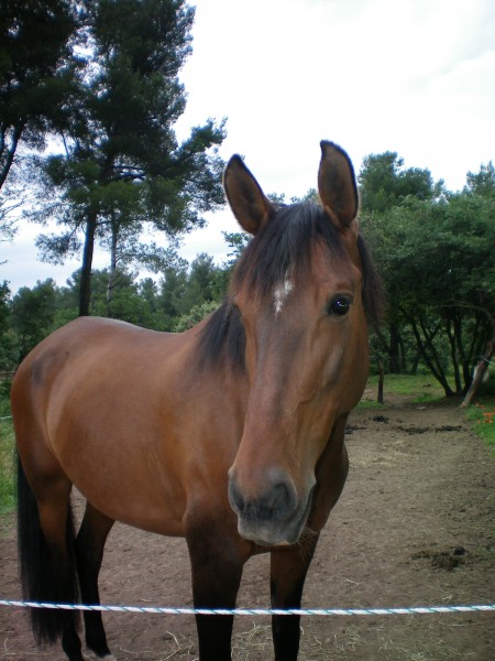 Photo de profil de khalifat