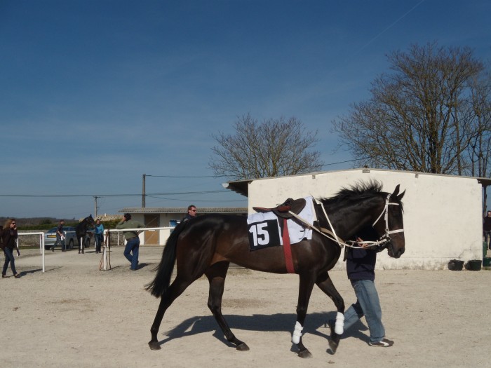 Photo de profil de polka86