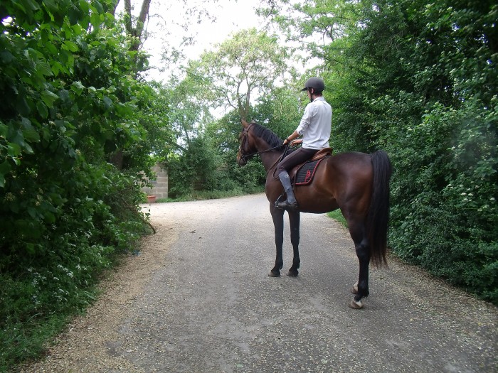 Photo de profil de teamp