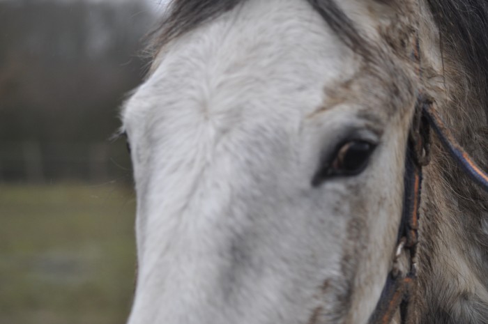 Photo de profil de djardan