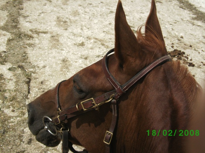 Photo de profil de jocesca