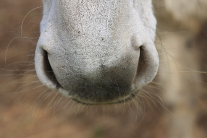 Photo de profil de clemlili