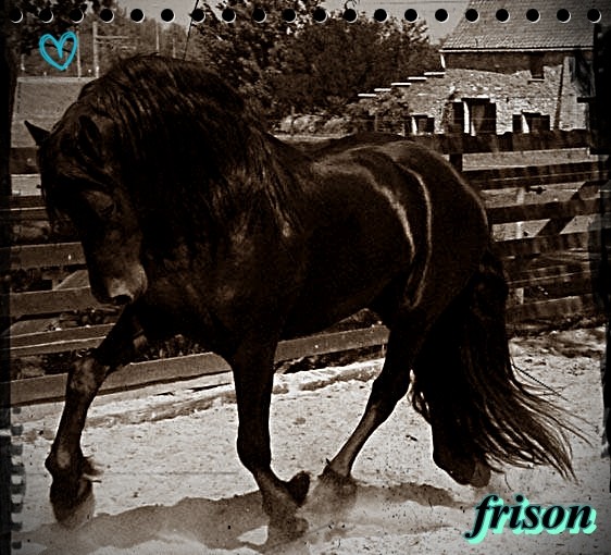 Photo de profil de momo885