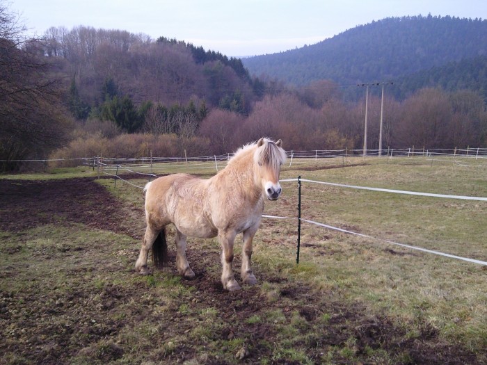 Photo de profil de titina16