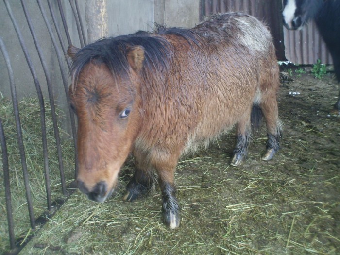 Photo de profil de alineloulou