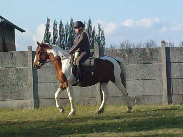 Photo de profil de tifelle