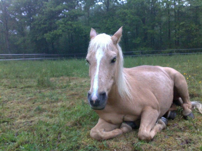 Photo de profil de unedunord