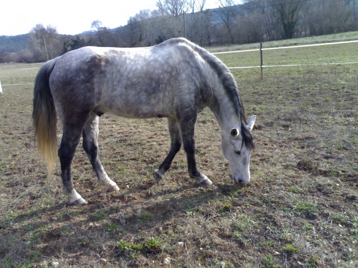 Photo de profil de chrisvar