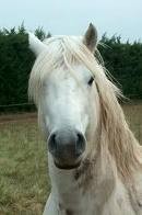 Photo de profil de agathe67