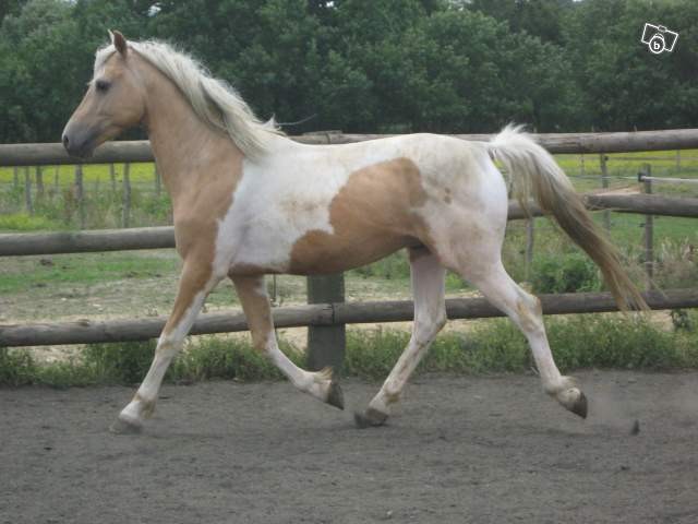 Photo de profil de shany