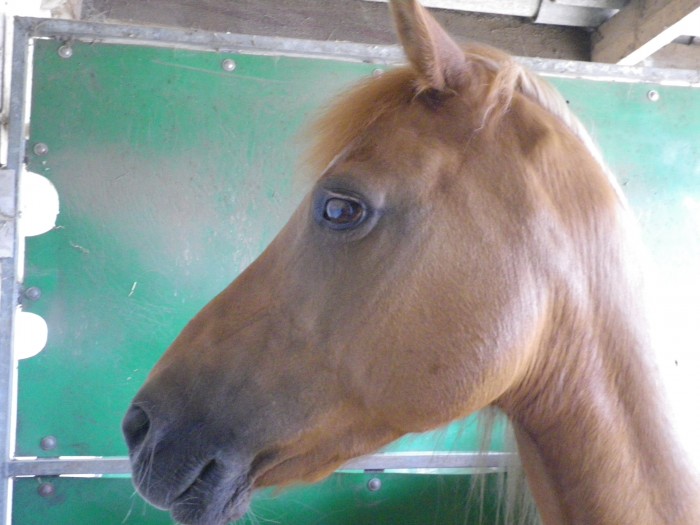 Photo de profil de littlesunshine