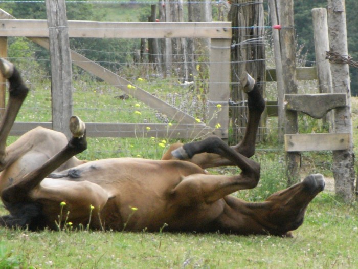 Photo de profil de unespoir