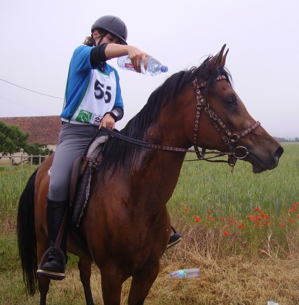 Photo de profil de mc14