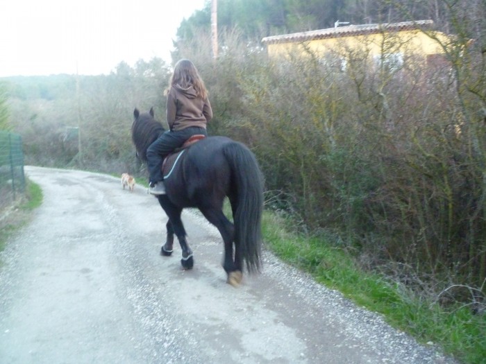 Photo de profil de lea13