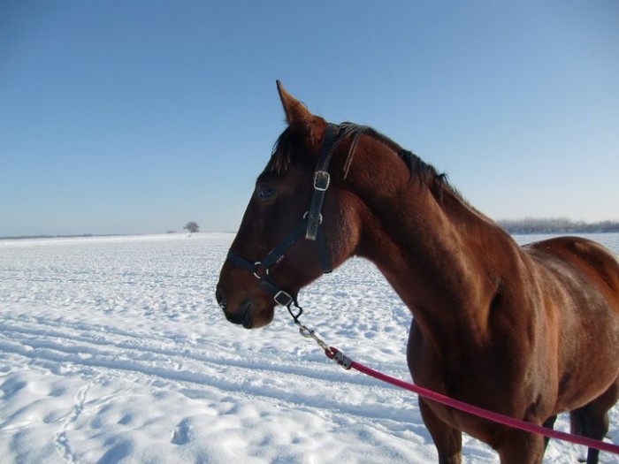 Photo de profil de ninita