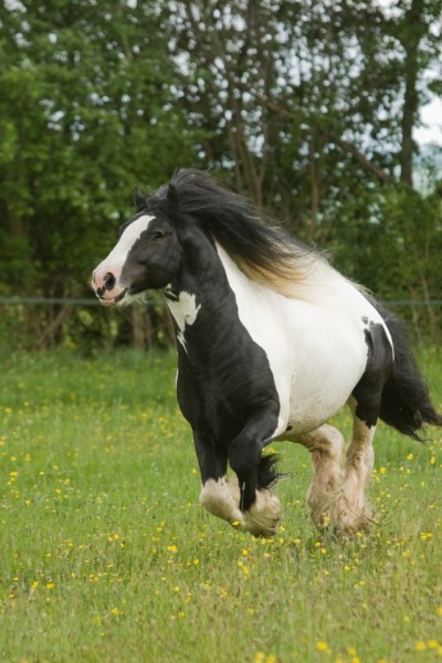 Photo de profil de lililove