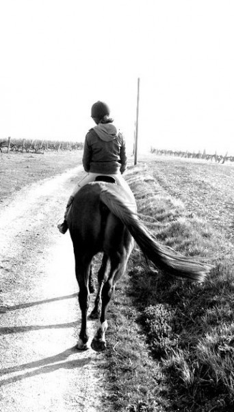 Photo de profil de dadaetoney