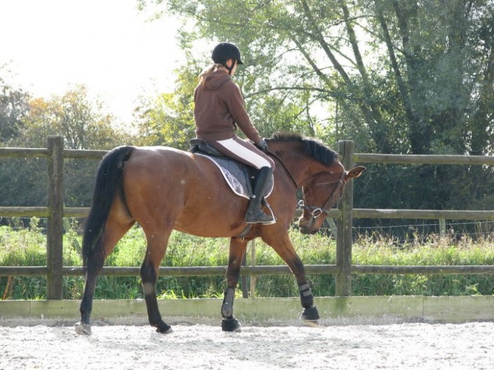 Photo de profil de lolalovehorse