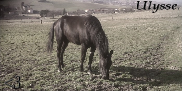 Photo de profil de ulysselou