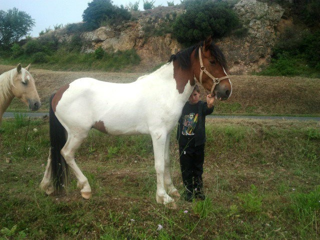 Photo de profil de mel1154