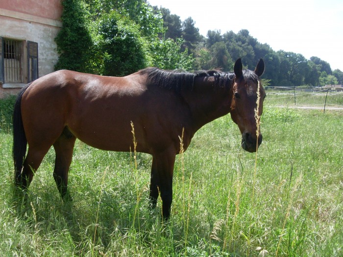 Photo de profil de manon06200