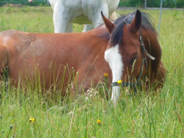 Photo de profil de mariehelenemh