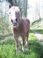 Photo de profil de shewolf51