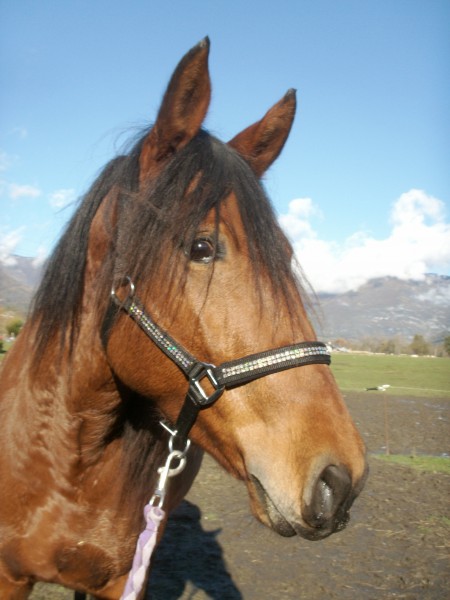 Photo de profil de lola65