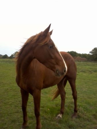 Photo de profil de roynita