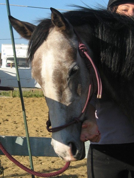 Photo de profil de bebo