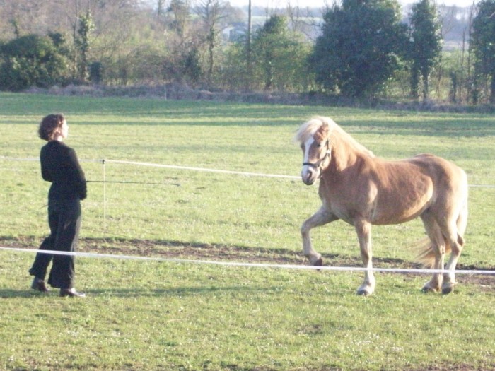 Photo de profil de gazelletango