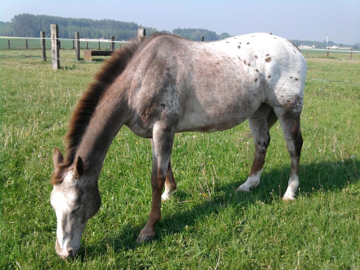 Photo de profil de yllen60