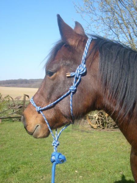 Photo de profil de tarzan25