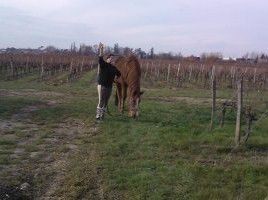 Photo de profil de faloupilou