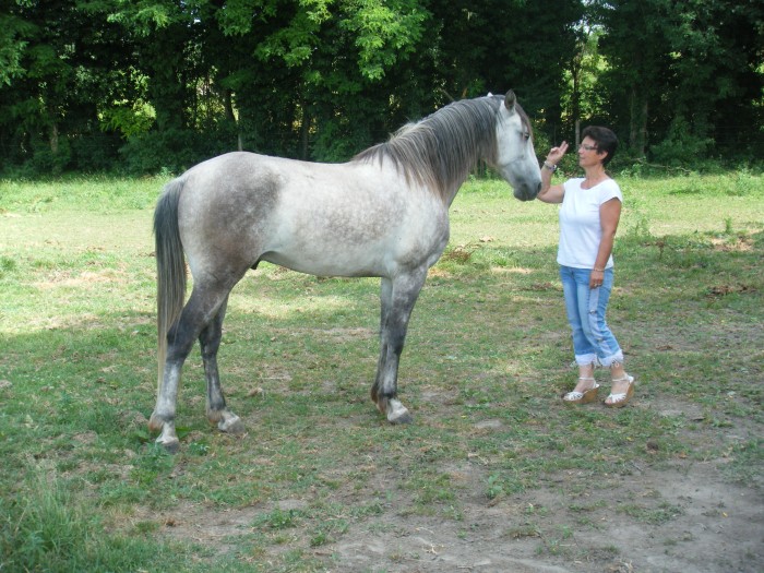 Photo de profil de ninoulion