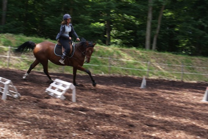 Photo de profil de charline54