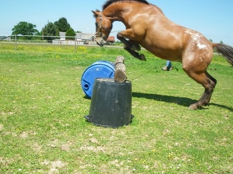 Photo de profil de oasis44