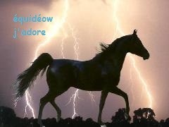 Photo de profil de alichat