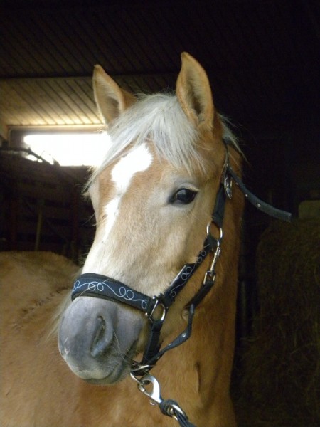 Photo de profil de eirinne
