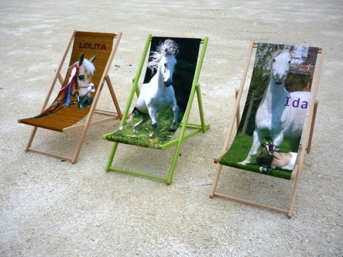 Photo de profil de chtitransat