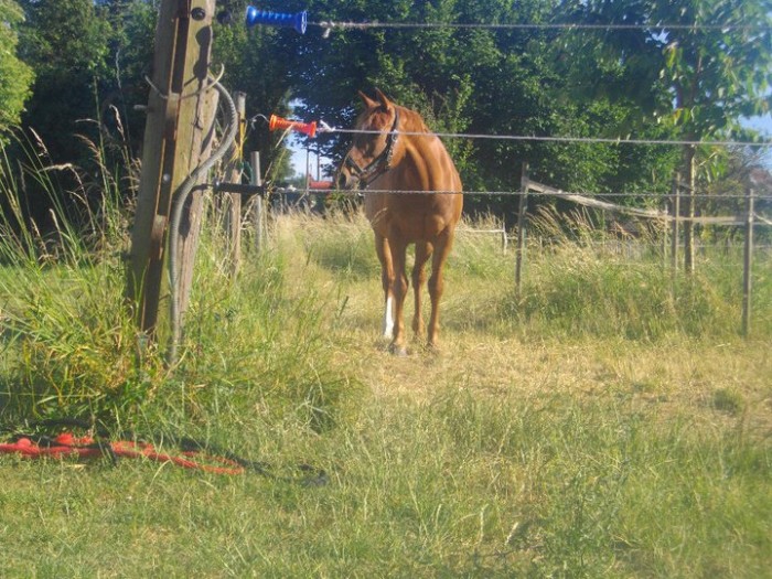 Photo de profil de marjo68