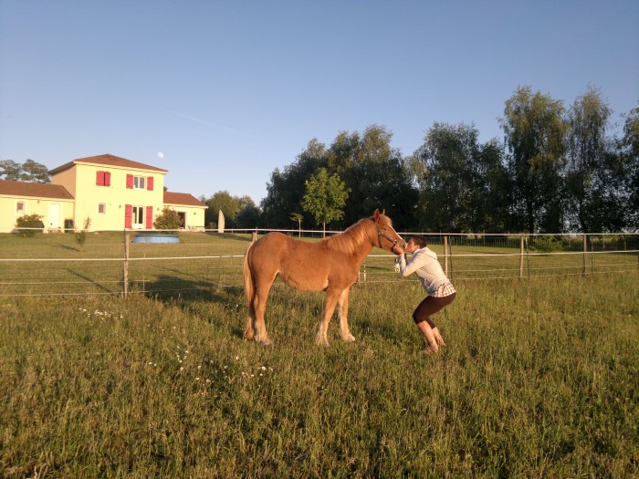 Photo de profil de abeille2316
