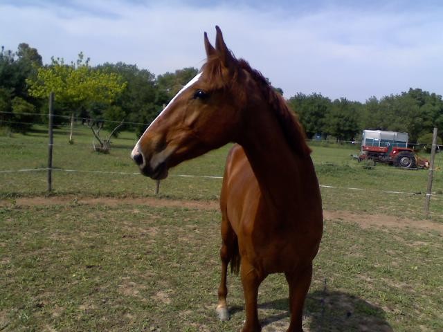 Photo de profil de quinte