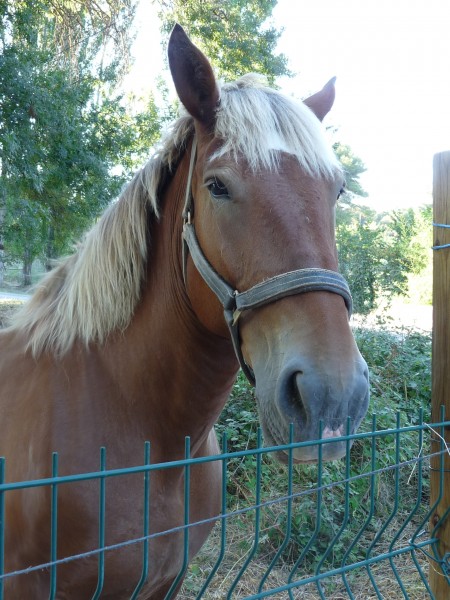 Photo de profil de rolandcathy