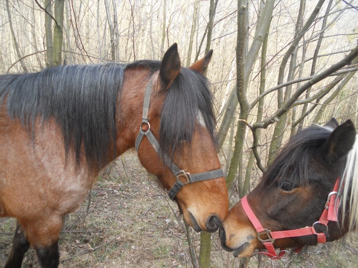 Photo de profil de _manon_