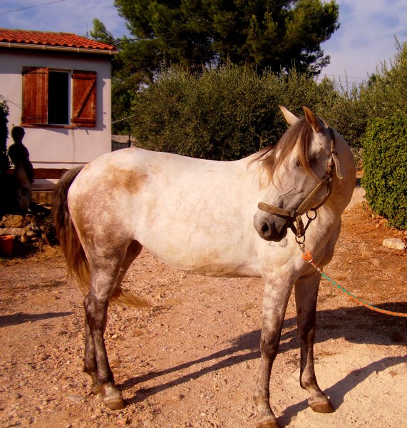 Photo de profil de sylclo