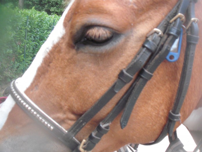 Photo de profil de lovelolita