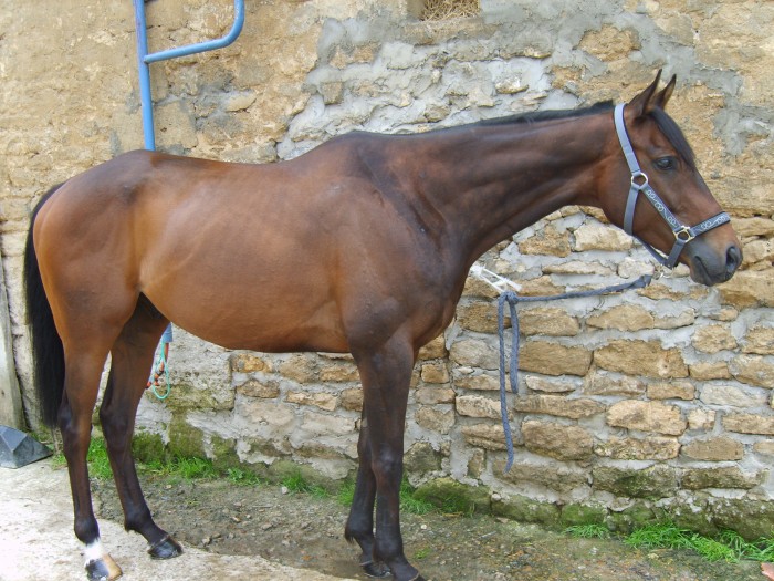 Photo de profil de angels2506